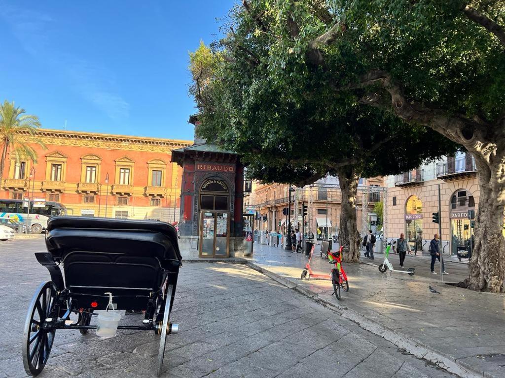 38,velasquez * Palermo