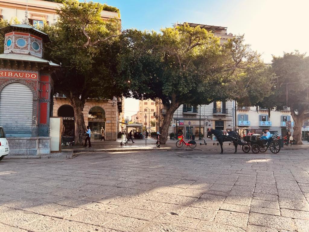 38,velasquez * Palermo